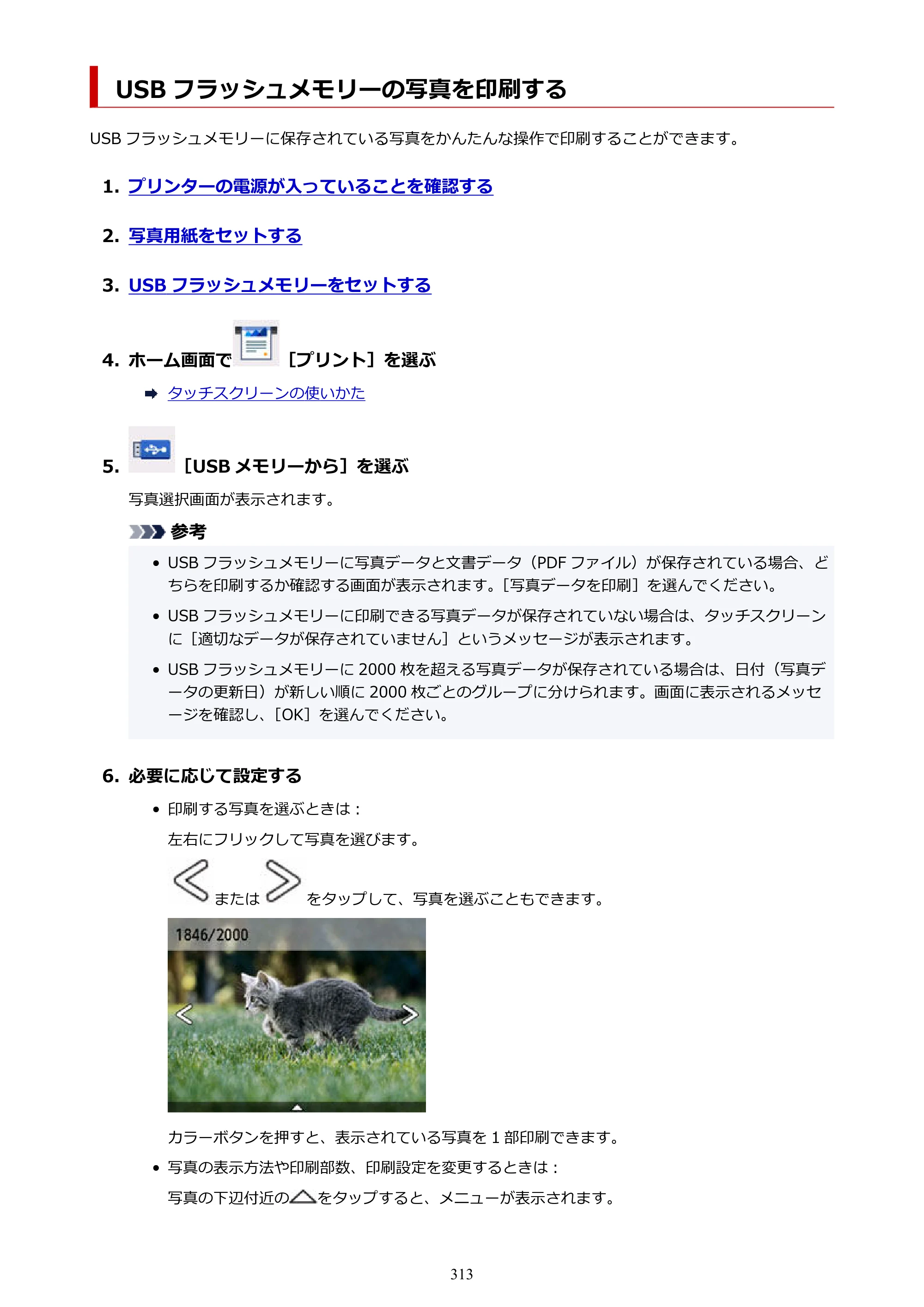 キヤノン GX6530 GX6530 (PDF) オンラインマニュアル 取扱説明書 2026年3月19日掲載（PDF：7.3MB） — USB フラッシュメモリーの写真を印刷する — 原本ページ — 313ページ