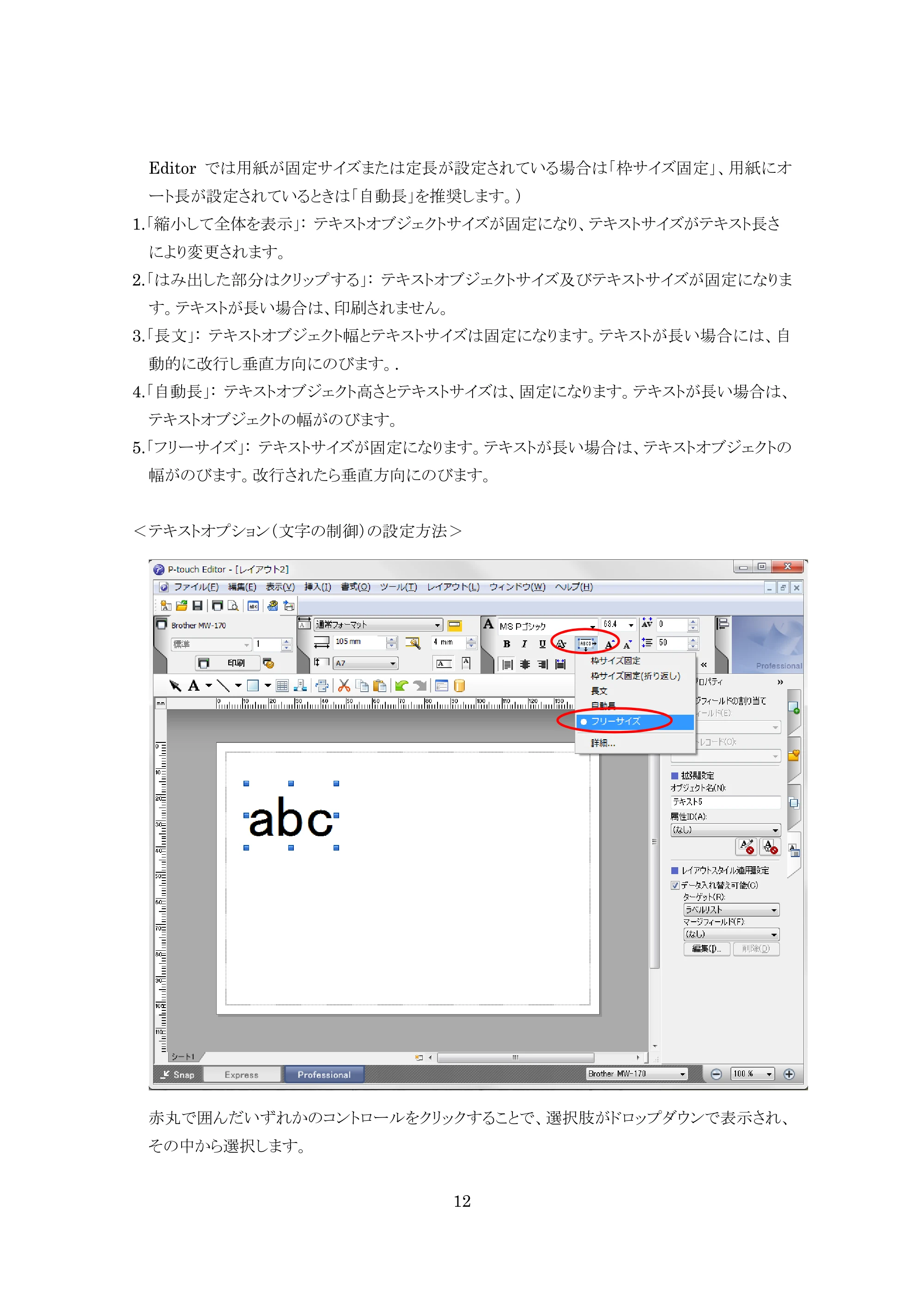 ブラザー MW-270 / MW-170 P-touch テンプレートマニュアル / コマンドリファレンス — 原本ページ — 12ページ