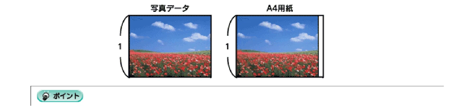 エプソン CC-600PX ユーザーズガイド for Windows — 印刷方法 — 図版 12-1 — 12ページ
