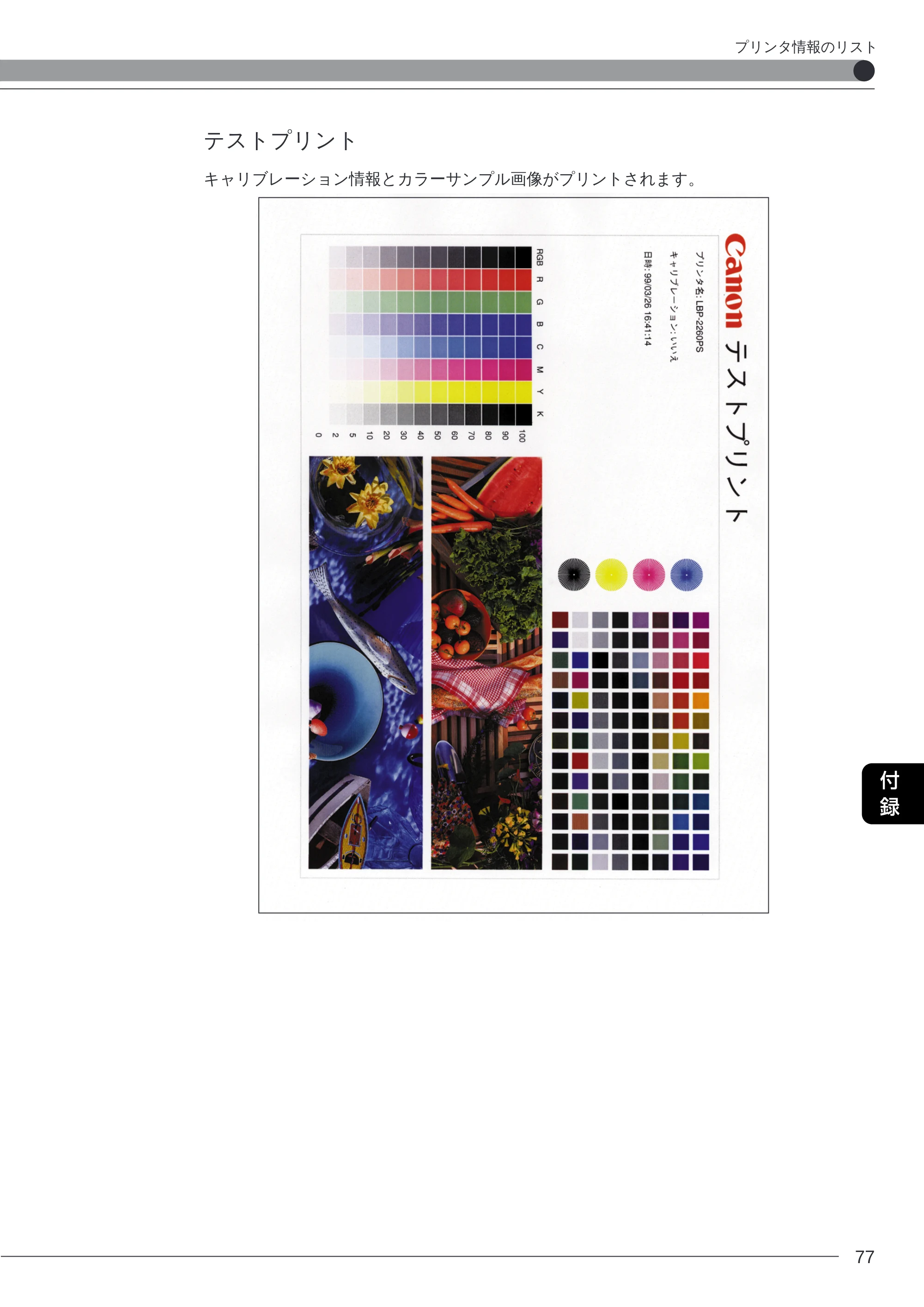 キヤノン LBP-2260PSII プリンター機能マニュアル （PDF形式／10.41Mバイト） — テストプリント — 原本ページ — 78ページ