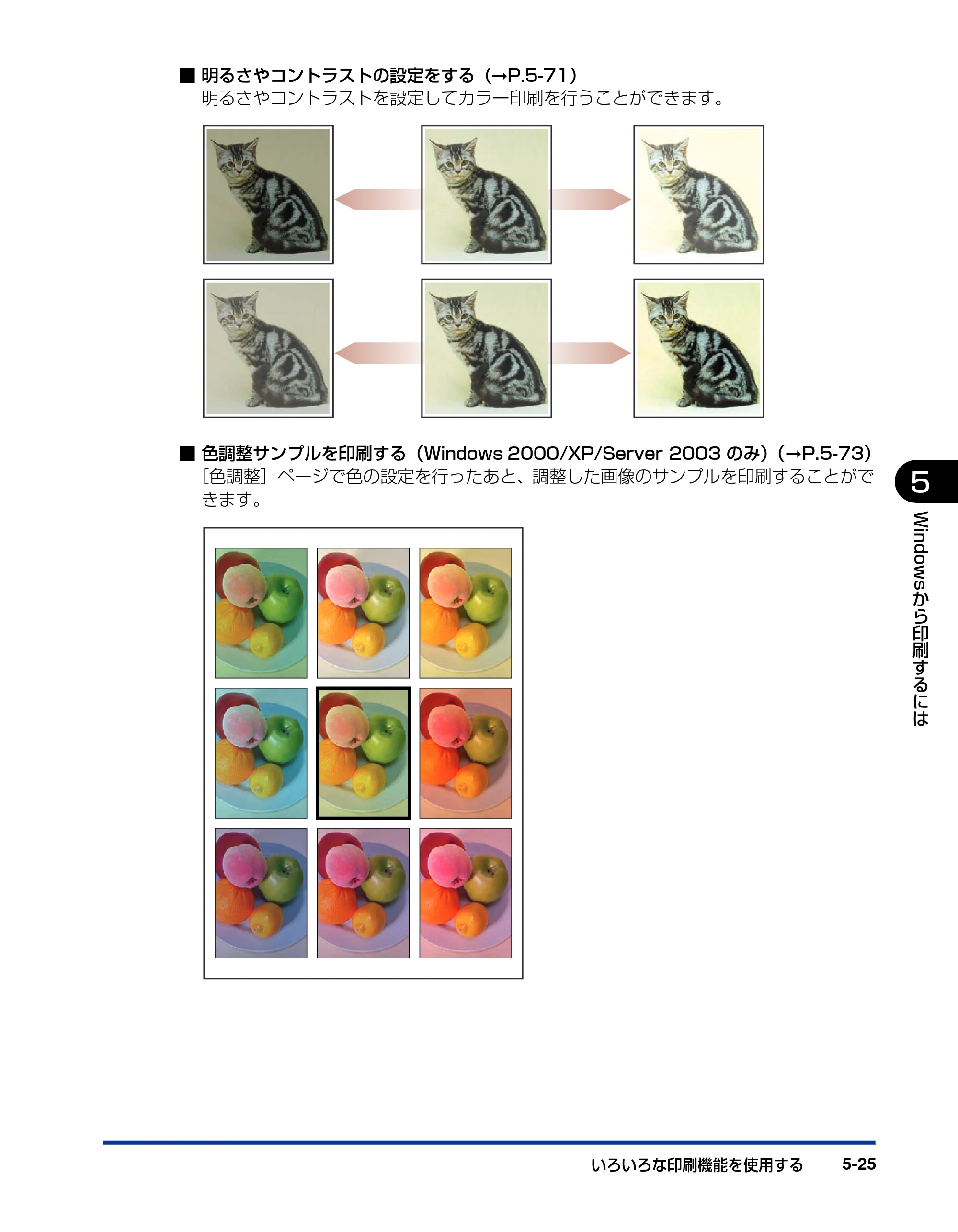 キヤノン LBP5100 ユーザーズガイド 2007年1月25日掲載 （PDF形式／16.15Mバイト） — 原本ページ — 253ページ
