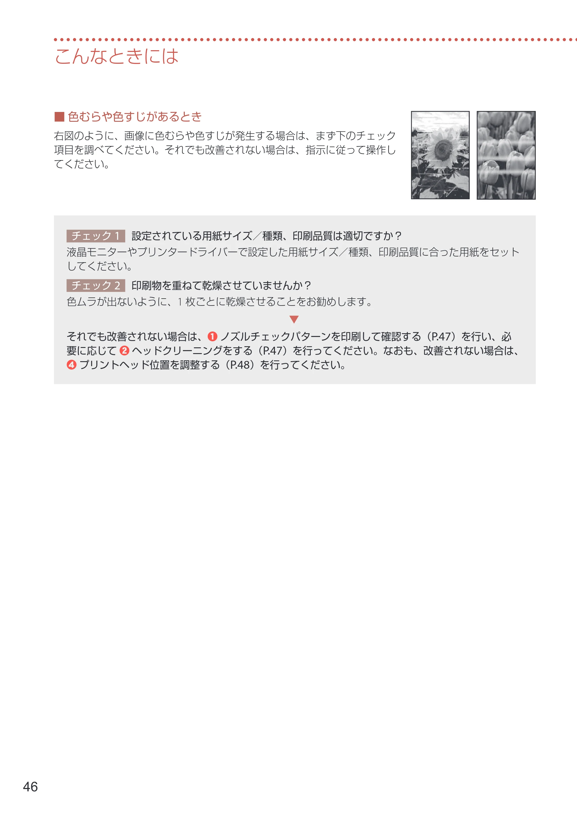 キヤノン PIXUS PRO-S1 Mark II 設置・基本操作マニュアル 2025年3月11日掲載（PDF：6.1MB） — 原本ページ — 48ページ