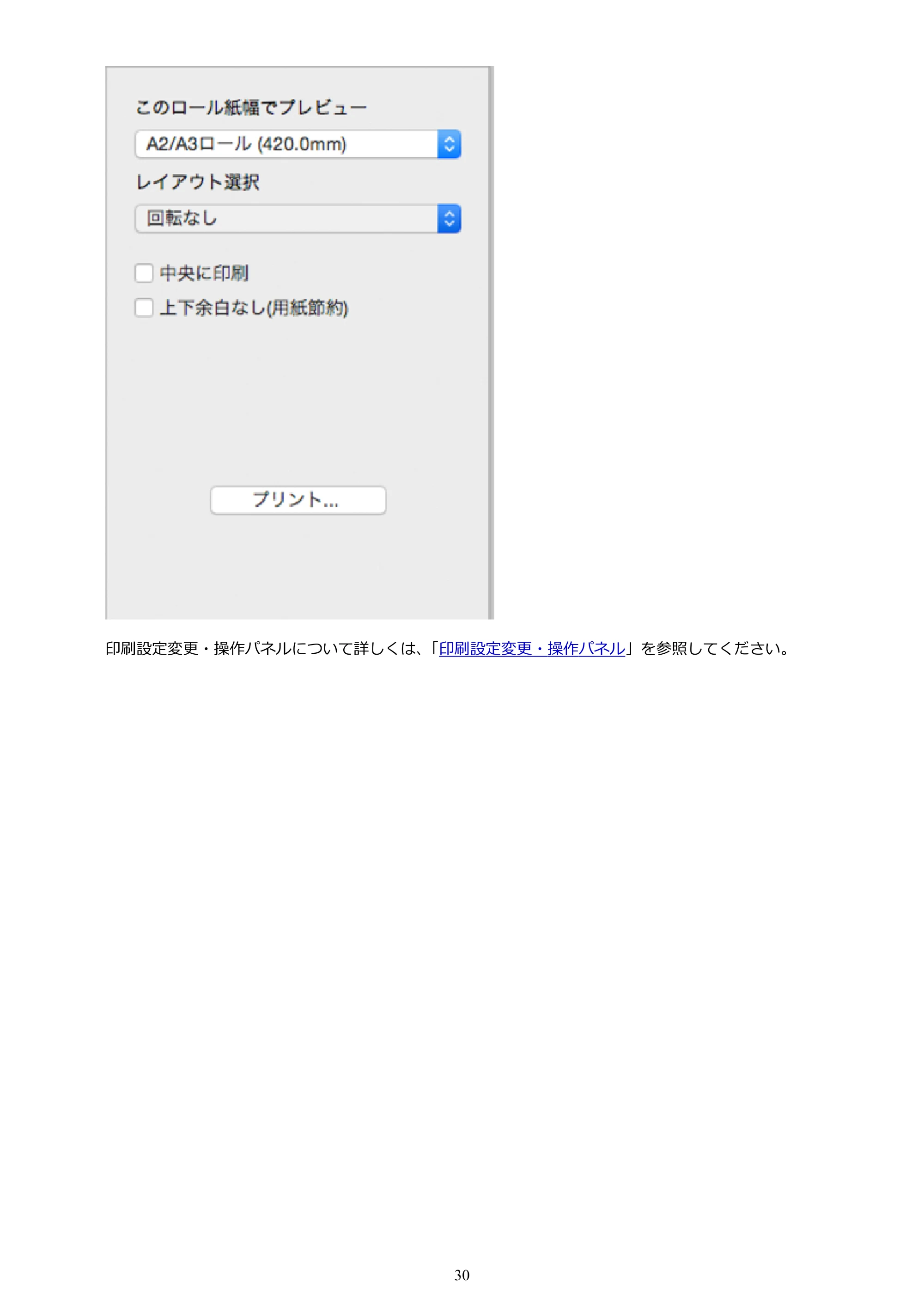 キヤノン PRO-1000 / PRO-2000 / PRO-4000 Preview ガイド（Mac版）2023年3月23日掲載（PDF：2.02MB） — 原本ページ — 30ページ